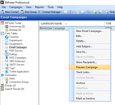 Preview Email Campaign